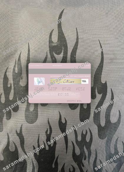 Norway BN Bank ASA visa debit card photolook back